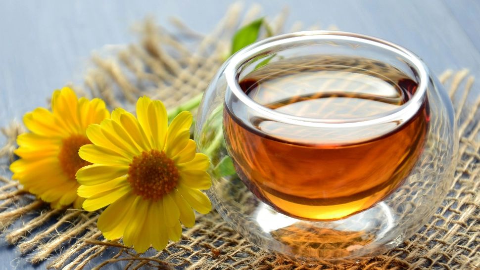 Longevitate în pahar. 3 băuturi simple care pot prelungi viața: sfatul experților în sănătate/ Arhivă foto