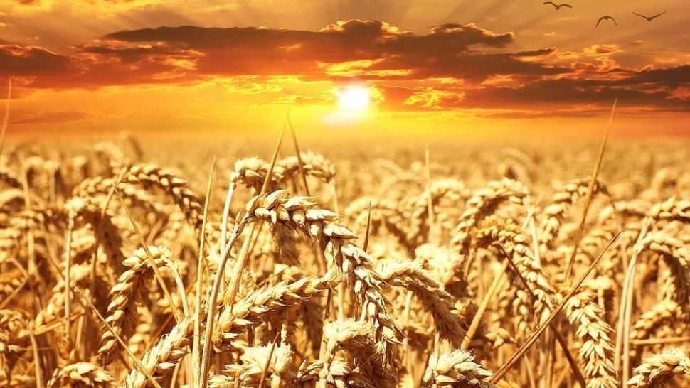 Cupolă de foc peste România: ANM anunță temperaturi de nesuportat