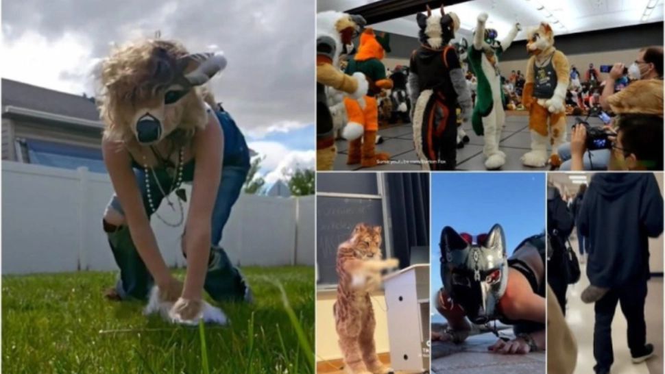 Alertă în școlile din România. Fenomenul care nu le dă pace elevilor: mulți dintre ei se dau drept animale și urcă scările în patru labe - VIDEO