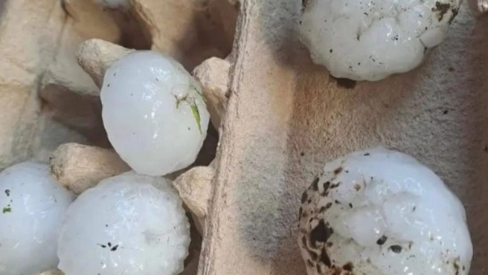 Grindina a făcut ravagii într-un oraș din România. A fost cât o minge de ping-pong - FOTO/VIDEO