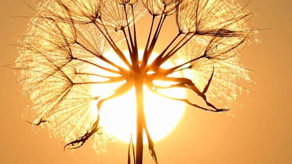 Directorul ANM anunţă o săptămână africană în România. Zilele în care temperatura resimțită va fi de 42 de grade Celsius!