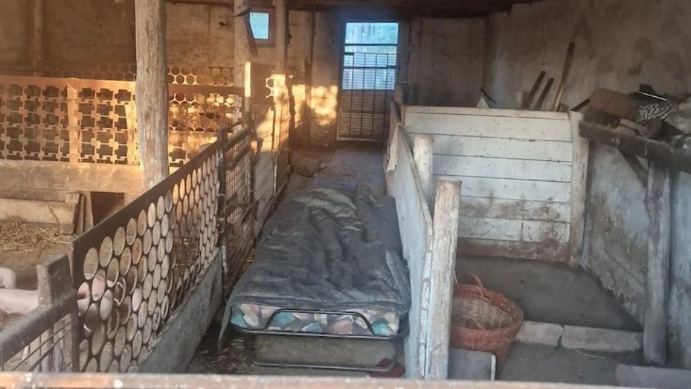 Bărbatul dormea în staul cu animalele (foto IPJ Bihor/eBihoreanul)