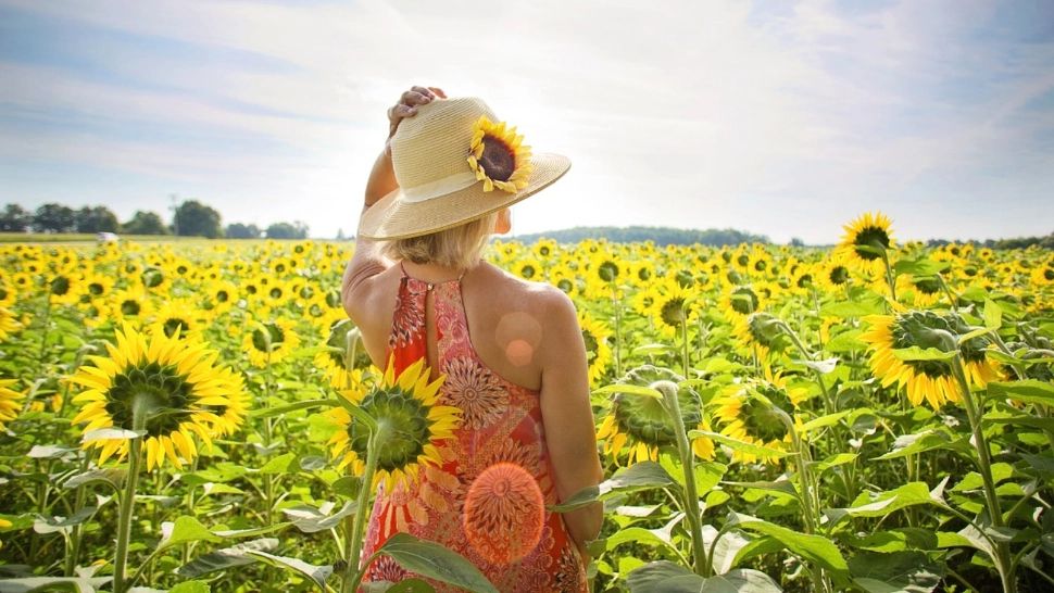 Cum să prevenim insolația. Netratată imediat, poate deveni FATALĂ/ Arhivă foto
