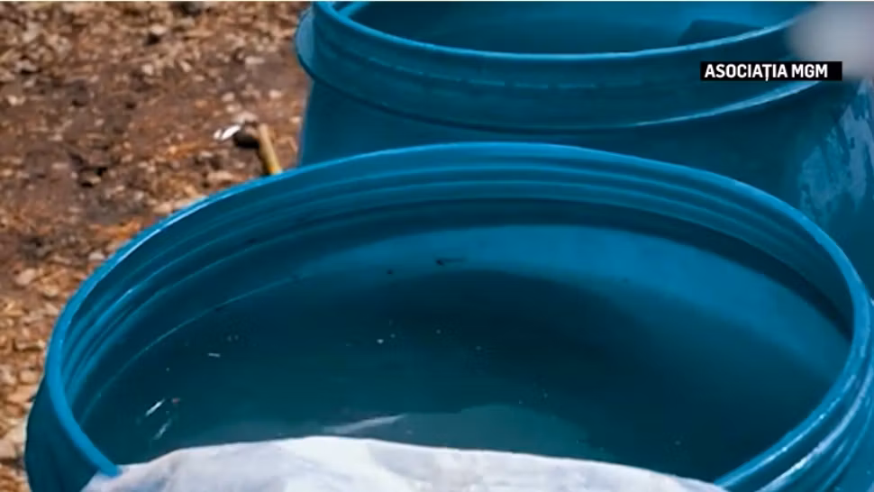 Fântâni pentru sute de oameni care beau apă dintr-un râu. Speranță pentru o comunitate de oameni din județul Vaslui/Captură video