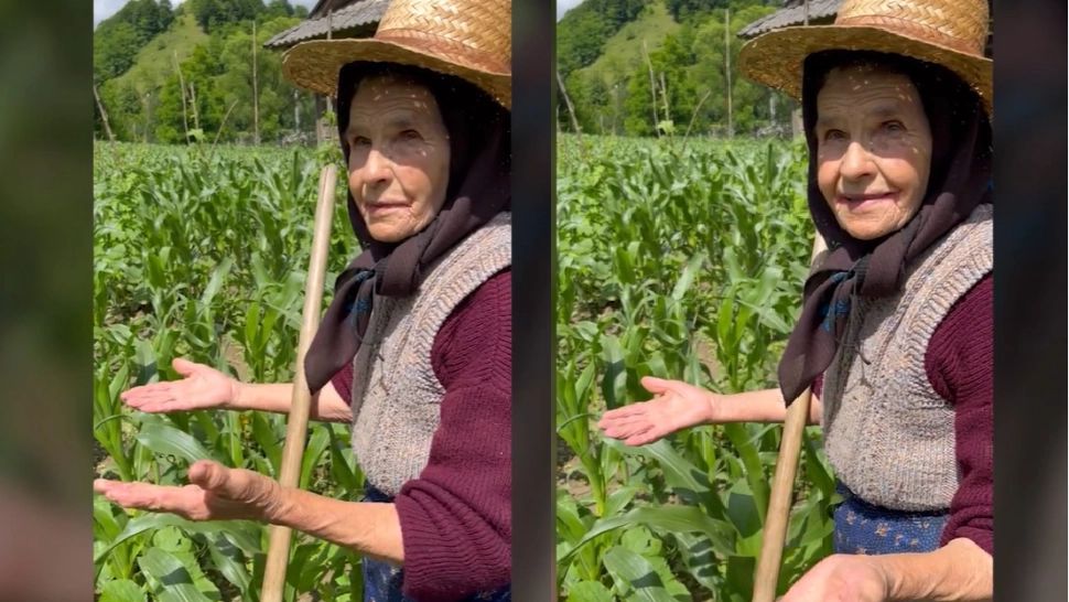 Bătrâna care își sapă singură grădina, la 82 de ani. Foto: TikTok