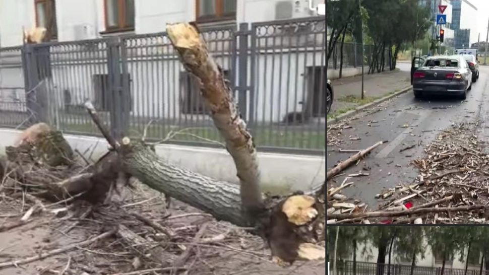 Zeci de autoturisme au fost avariate de copacii doborâți de furtuna din București. A fost alerta de urgență GRAVĂ - FOTO
