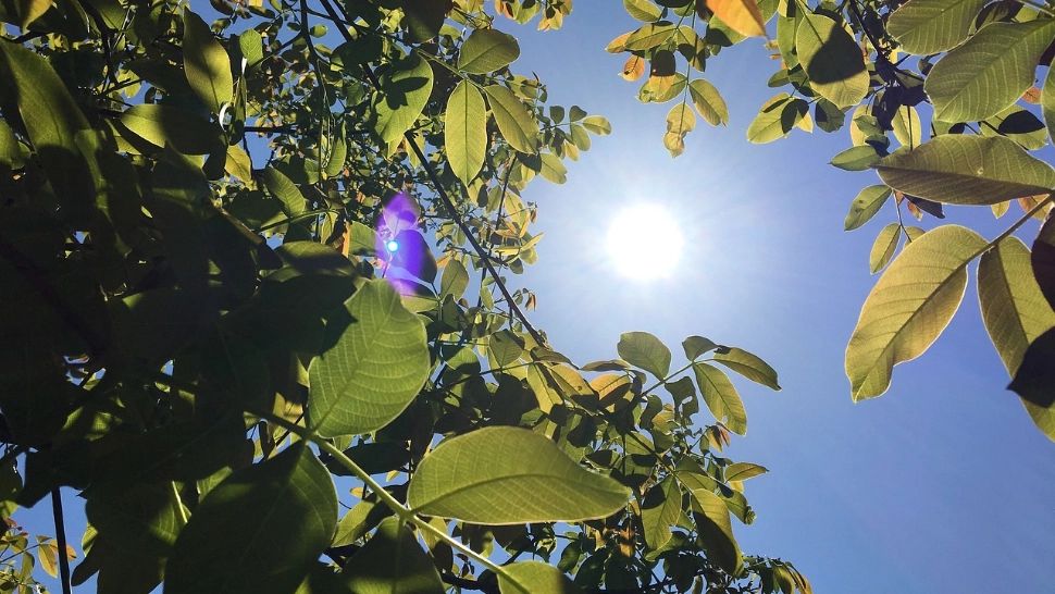 România se topește! Valul de aer fierbinte aduce 39 de grade Celsius la umbră