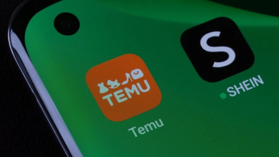 Probleme pentru cei care cumpără de pe Temu și Shein