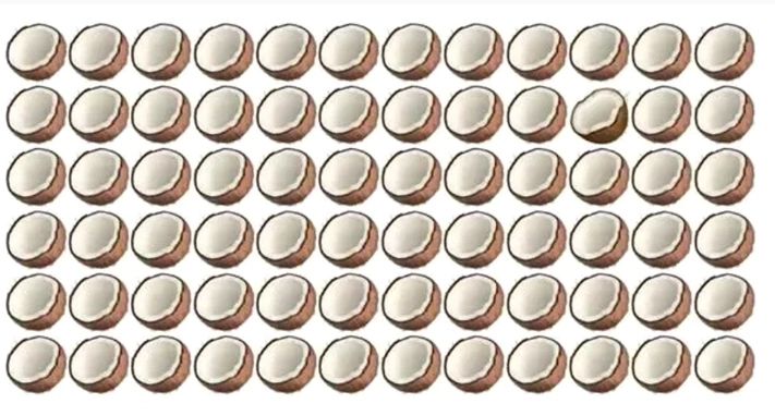 Test de atenție incredibil! Doar cei cu spirit de observație excelent pot identifica nuca de cocos diferită/ Captură foto