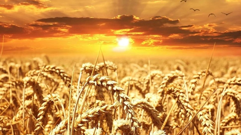 Prognoza meteo pe o lună: urmează un nou val de caniculă 