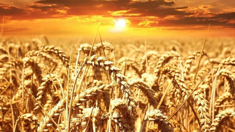 Canicula se întoarce în România: un nou val de căldură sufocantă. ANM a emis un nou cod de vreme severă - HARTA