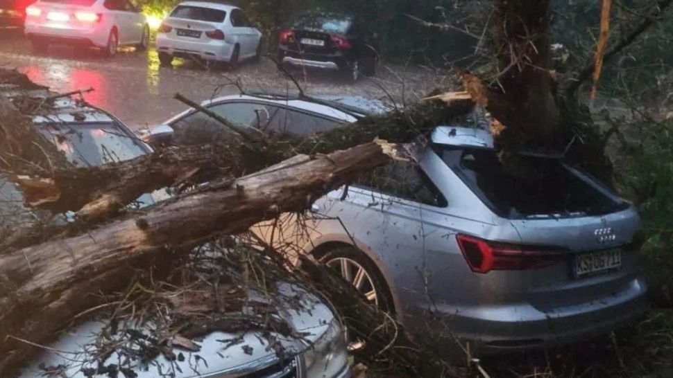 Furtuna a făcut ravagii la Iași! Imagini de coșmar cu mașini distruse de copacii doborâți de vânt. Ieşenii sunt revoltaţi că avertizare nowcasting a venit după ce a început urgia - FOTO/VIDEO