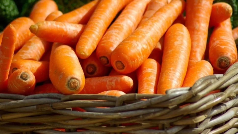 Alertă alimentară: Morcovi organici, contaminați cu o bacterie periculoasă