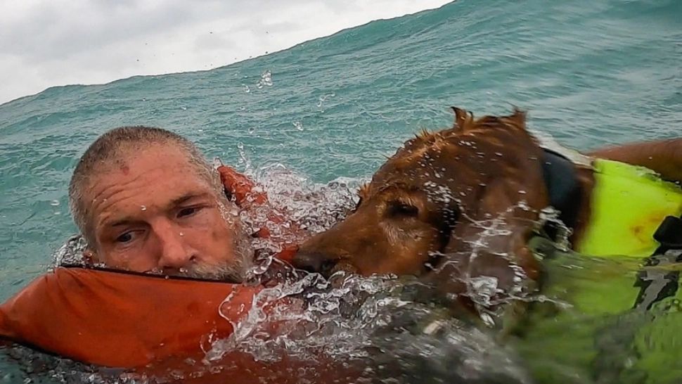 Uraganul Helene a făcut prăpăd în Statele Unite, Cel puţin 43 de persoane au fost ucise – FOTO / VIDEO