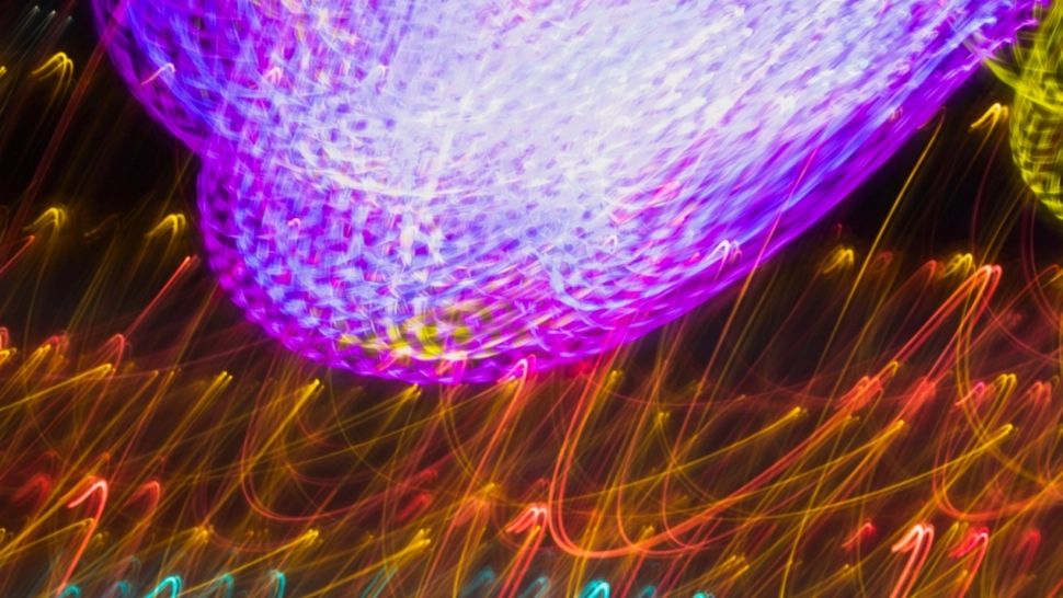 Prima creatură care întinerește: Cum reușește vietatea să inverseze procesul de îmbătrânire