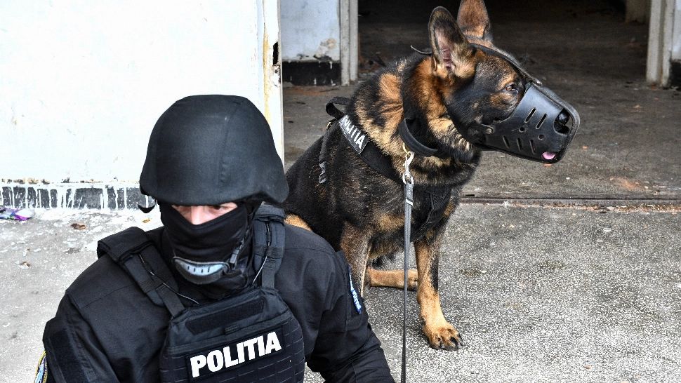 Operațiunea Jupiter. Descinderi la mafia contrabandiștilor: peste 70 de percheziții - ce caută mascații