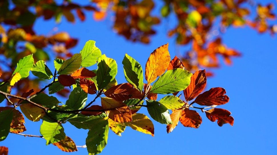 Prognoză meteo, România, 20 octombrie 2024: vreme frumoasă, dar rece