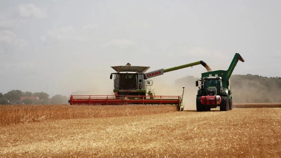 Stăm mai bine decât ungurii la teren agricol, dar mai prost la industria alimentară. Foto/Profimedia