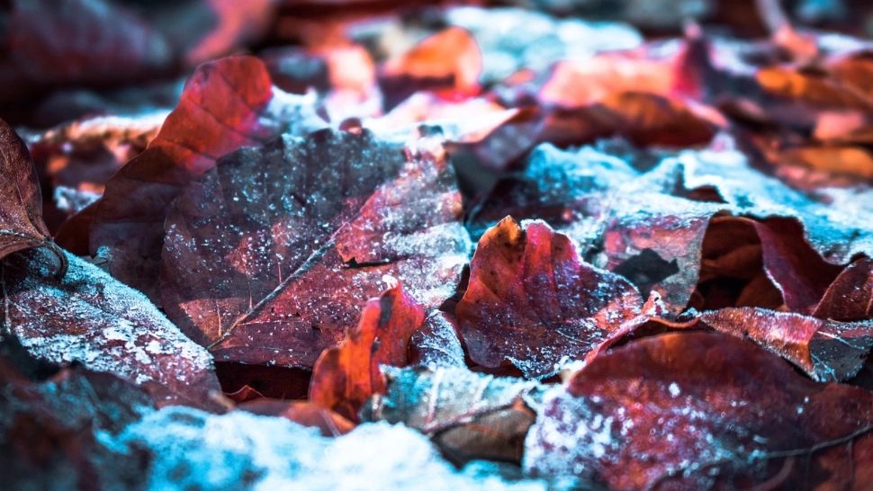 Vremea 6 decembrie. Temperaturi scăzute în toată țara de Sfântul Nicolae: unde sunt așteptate ninsori și lapoviță