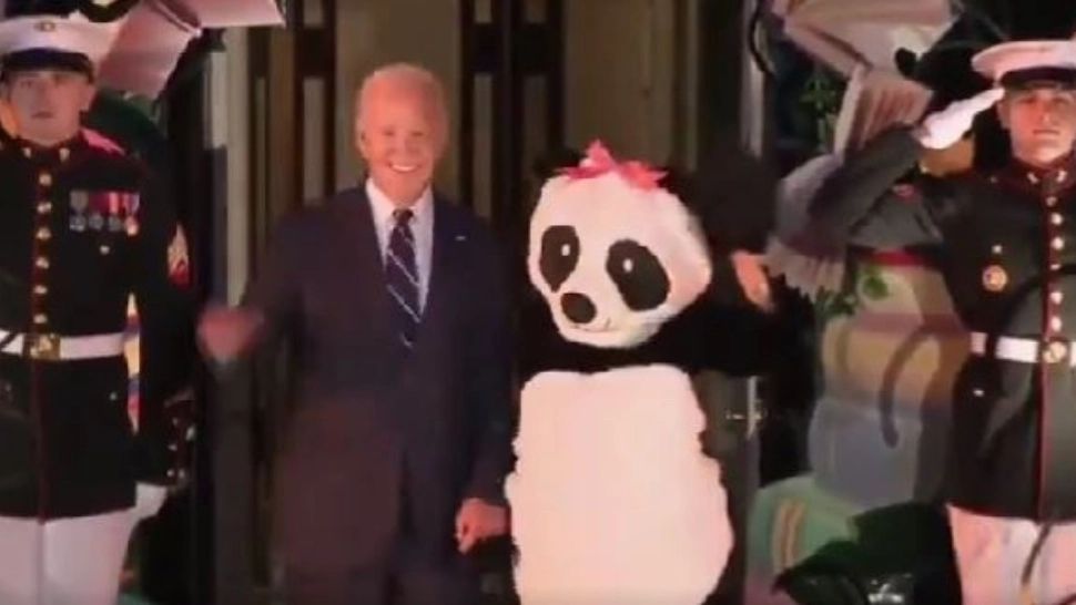 Imagini inedite! Prima Doamnă s-a costumat în urs panda de Halloween