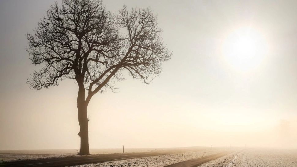 Temperaturile maxime se vor situa între 2 și 12°C
