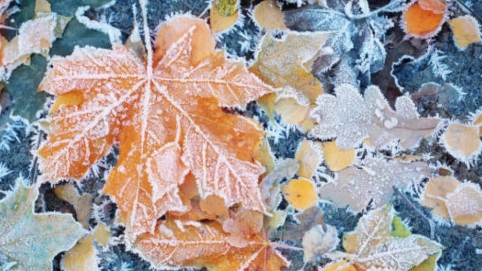 Vremea 2 decembrie. Temperaturi SCĂZUTE în toată țara. Maximele nu trec de 9 grade Celsius 