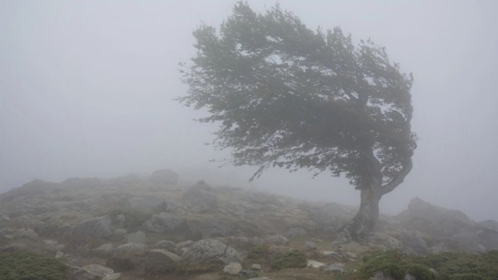 Prognoza meteo 27 noiembrie. Avertizări COD GALBEN de vreme severă în zeci de localități