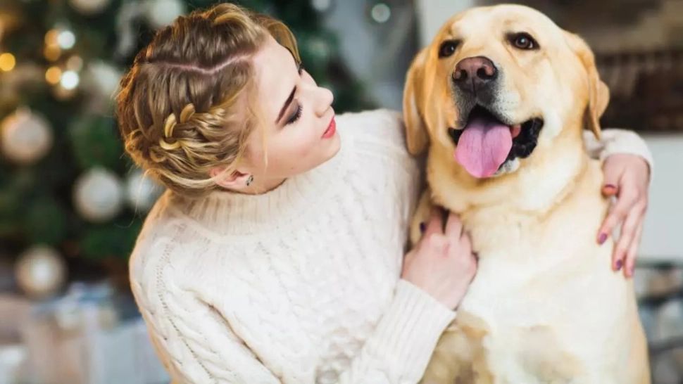 Foto/Arhivă/Profimedia