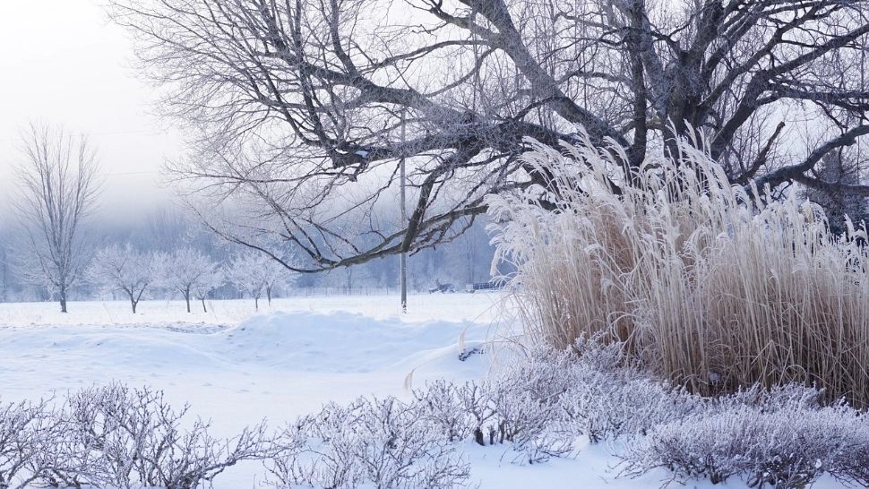 Prognoză meteo ROMÂNIA: Crăciun și Revelion cu temperaturi anormale. ANM avertizează că urmează un GER NĂPRASNIC