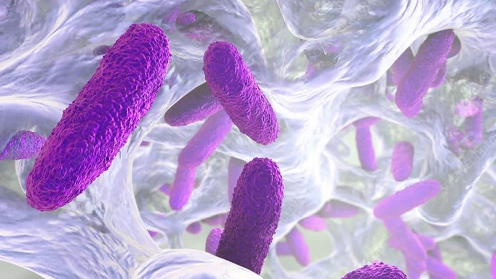 Descoperire medicală revoluționară: Un virus capabil să distrugă bacteriile rezistente la antibiotice a fost identificat