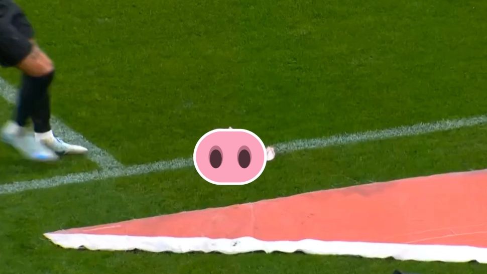 Cap de porc aruncat pe teren în timpul unui derby de fotbal. Reacția spontană a portarului - VIDEO