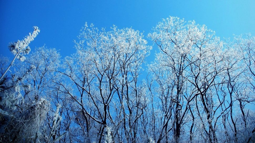 Cum va fi vremea de Revelion? Surprize meteorologice în primele zile din 2025