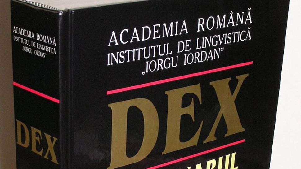 Românii, curioși să afle ce înseamnă "sinecură"și "sinecurist". Cele mai căutate definiții pe dexonline