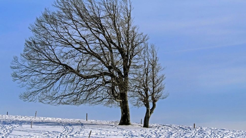 Schimbare bruscă a vremii! Ninsori semnificative și vânt puternic până sâmbătă: noua prognoză ANM