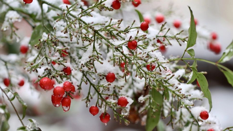 Prognoza meteo pe o lună: România, traversată de un nou val de căldură