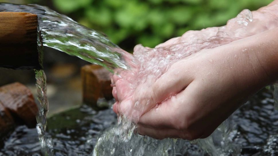 Colțul de rai din România unde îţi poţi trata alergiile