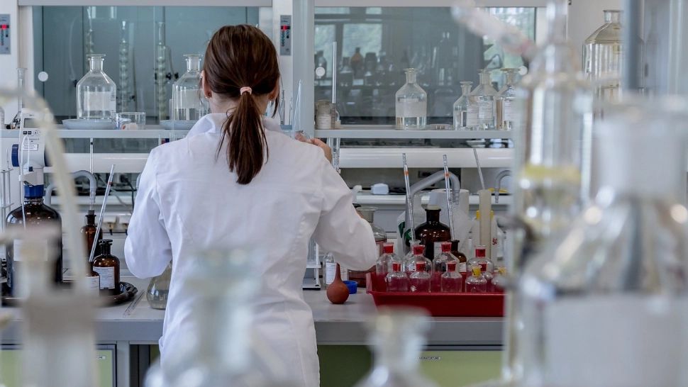 Ce este epidemia de Chikungunya: autoritățile declanșează stare de alertă