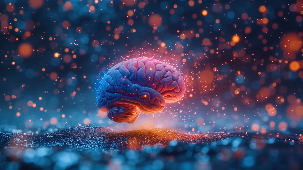 Ce trebuie să faci timp de un minut pentru a preveni declinul cognitiv: „Ne oprim în fața unei vitrine”/ Profimedia