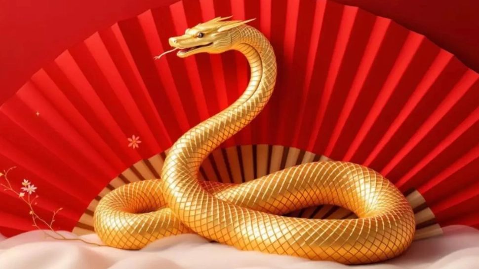 4 zodii chinezești vor avea un an al șarpelui 2025 incredibil de norocos