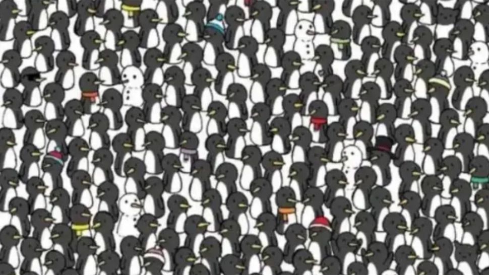 Două pisici s-au ascuns în mulțimea de pinguini