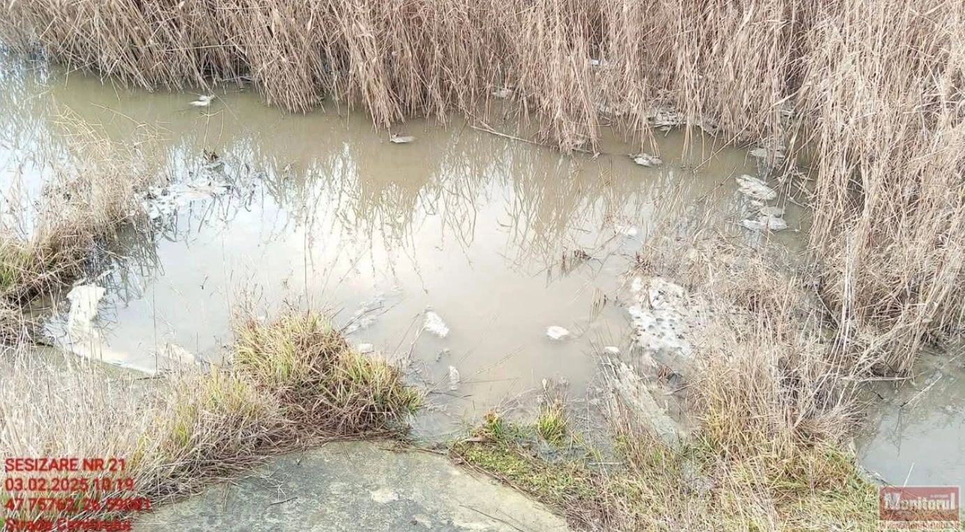 Poluare cu amoniac, într-un râu din Botoșani. Stațiile de epurare, sursa contaminării - amendă uriașă