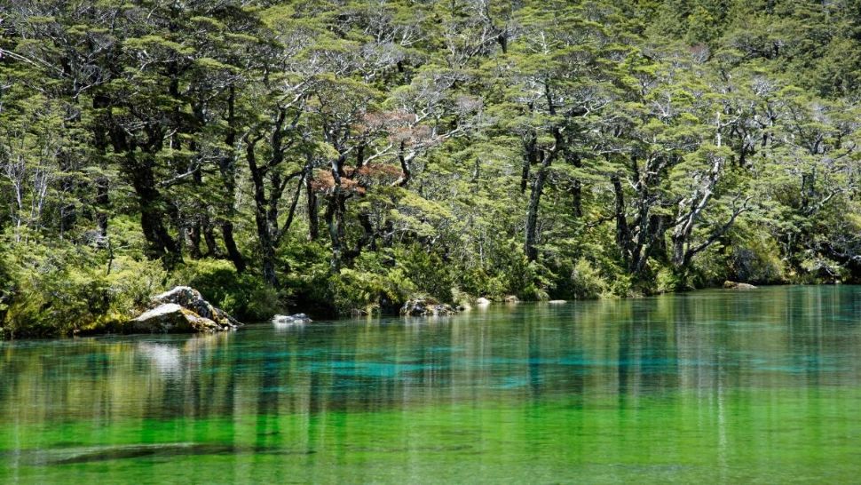 Motivul pentru care turiștii trebuie să-și curețe pantofii înainte de a vizita cel mai limpede lac din lume. Ce se întâmplă acolo, de fapt