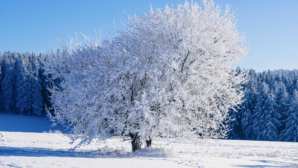 Vreme deosebit de rece în toată țara până la mijlocul lui februarie. Prognoza ANM pentru următoarele 4 săptămâni