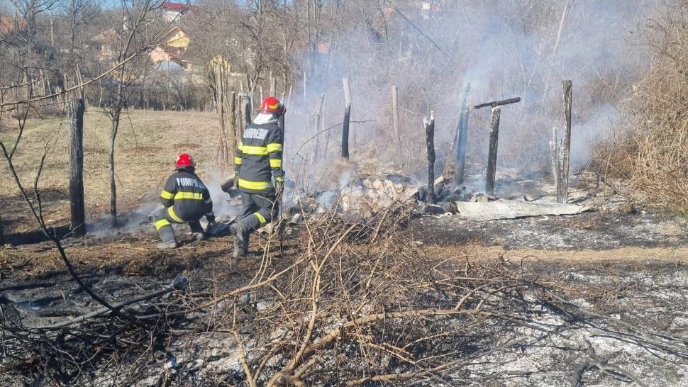 Pui de iepure, salvat de pompieri din incendiile de vegetație provocate intenționat: Este puțin pârlit, dar viu! - FOTO