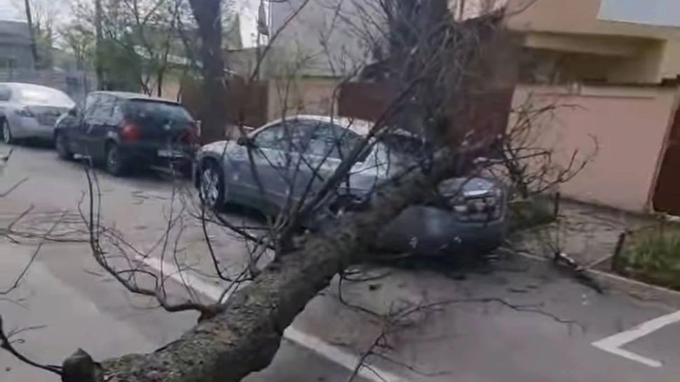 Pagube uriașe, după vijeliile puternice din România: noi IMAGINI cu dezastrul din ultimele ore/ Foto: Meteoplus