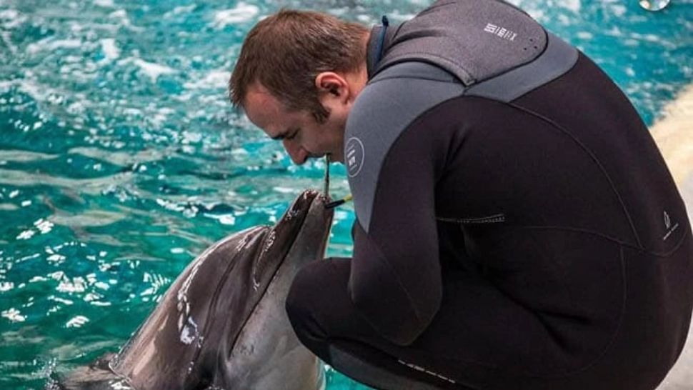 Ce se va întâmpla cu trupul lui Chen Chen, îndrăgitul DELFIN de la Constanță care a murit în weekend?