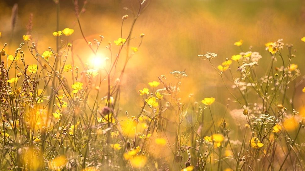 Urmează cea mai grea VARĂ din toate timpurile. România, sub amenințarea unei perioade toride: meteorologii anunță temperaturi record și secetă severă