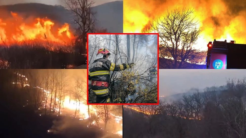 Incendiile de vegetație fac ravagii în România. FOTO: IGSU