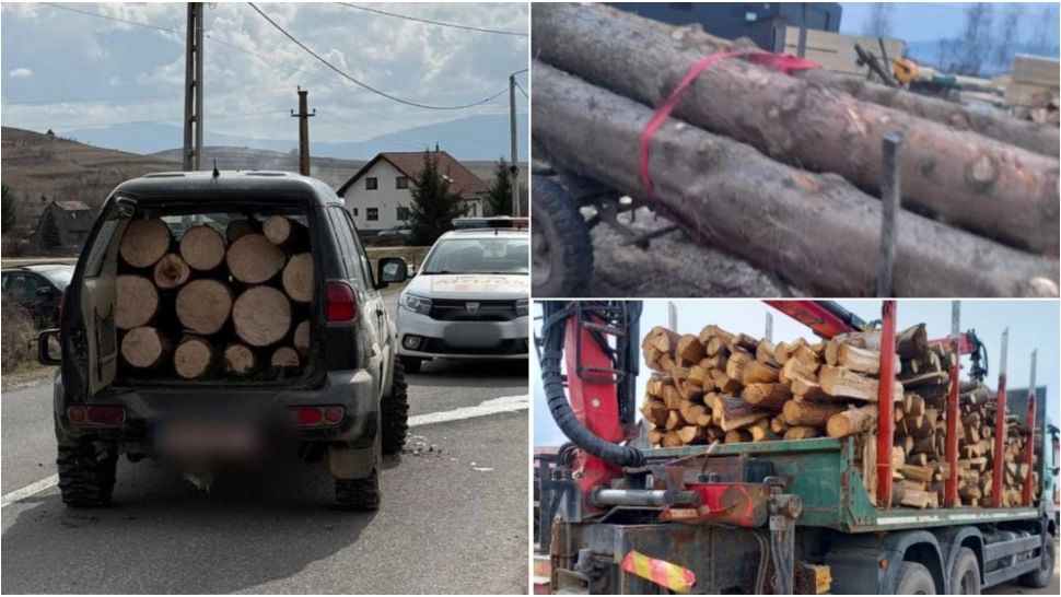 Hoți de lemne, arestați pentru transport de lemn tăiat ilegal. FOTO: IPJ Harghita 