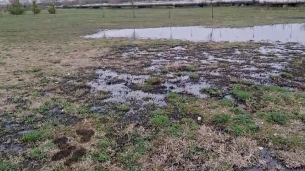 Solul Parcului Municipal Ploiești Vest băltește în petrol. Foto: Facebook